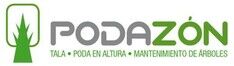 Tala y podas de arboles en altura Limpieza de ramas y mantenimiento