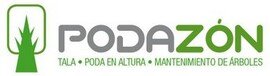 Tala y podas de arboles en altura Limpieza de ramas