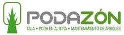 Tala y podas de arboles en altura Limpieza de ramas